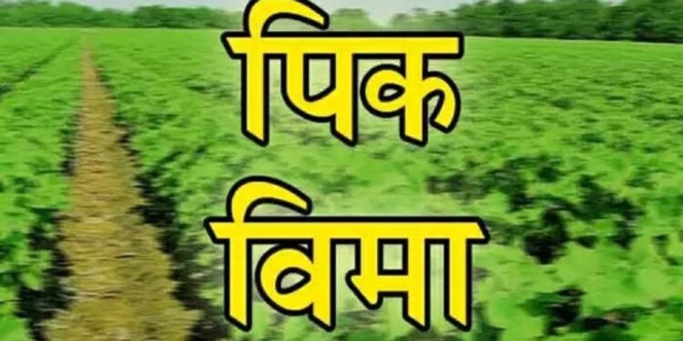 जीवन ज्योत फाऊंडेशनमुुळे तालुक्यातील शेतकऱ्यांची दिवाळी गोड