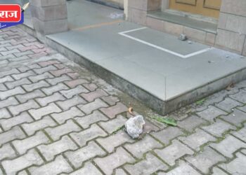 ॲड.अत्रे यांच्या घरावर दगडफेक : मनसेच्या उपाध्यक्षासह १३ जणांना अटक, जामीन