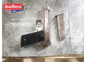 गावठी पिस्तुलासह २ काडतूस जप्त, पुण्याच्या तरुणाला अटक