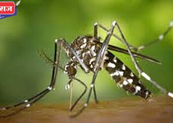 पाचोरा तालुक्यातील विद्यार्थिनीचा राजस्थानात डेंग्यूने  मृत्यू