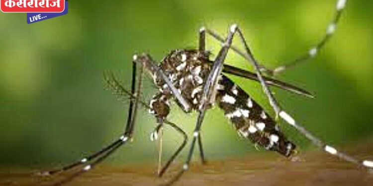 पाचोरा तालुक्यातील विद्यार्थिनीचा राजस्थानात डेंग्यूने  मृत्यू