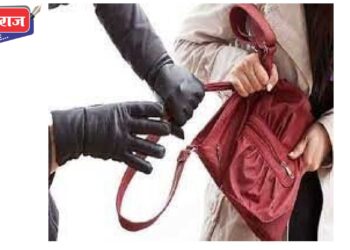 चोरट्यांचे उपदव्याप सुरूच, पर्समधून रोकड, मोबाईल लांबविले