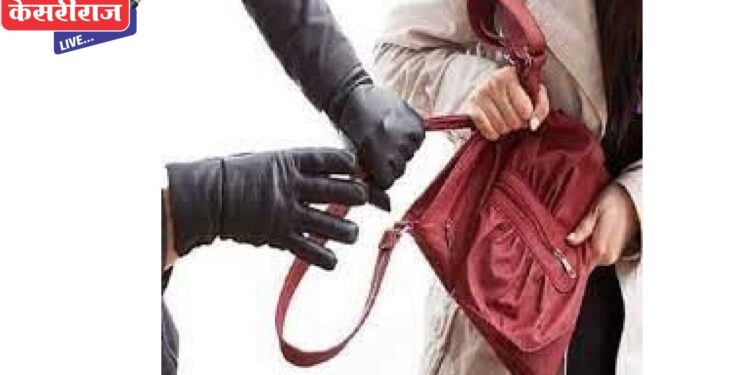 चोरट्यांचे उपदव्याप सुरूच, पर्समधून रोकड, मोबाईल लांबविले