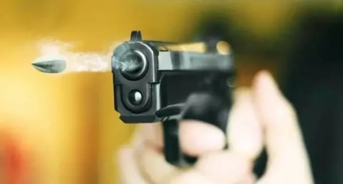 टोळक्याचा तरुणांवर हल्ला : एकावर गोळीबार, दुसऱ्यावर शस्त्राने वार !