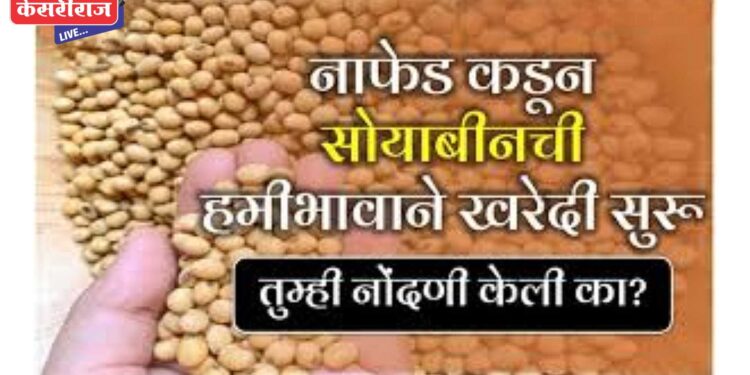 नाफेडच्या वतीने १२ जानेवारीपर्यंत सोयाबीन खरेदी सुरु