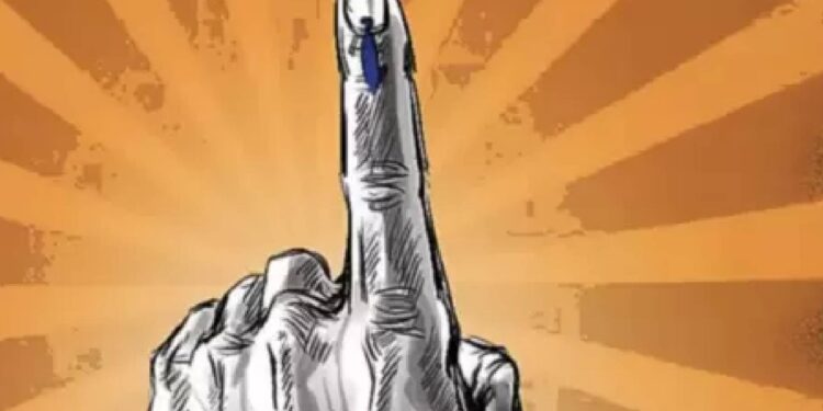 विधानसभा सार्वत्रिक निवडणुकीच्या मतदानासाठी २० नोव्हेंबर रोजी सुट्टी जाहीर