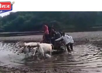 केंद्रावर नदीतून जात चक्क बैलगाडीवरून नेले ईव्हीएम मशीनसह साहित्य !