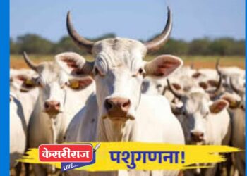 पशुगणनेस २५ नोव्हेंबर पासून जळगाव जिल्ह्यात प्रारंभ