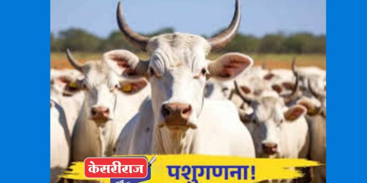 पशुगणनेस २५ नोव्हेंबर पासून जळगाव जिल्ह्यात प्रारंभ