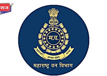 वन विभागाच्या कारवाईत ६३ हजारांचा मुद्देमाल जप्त, संशयित फरार