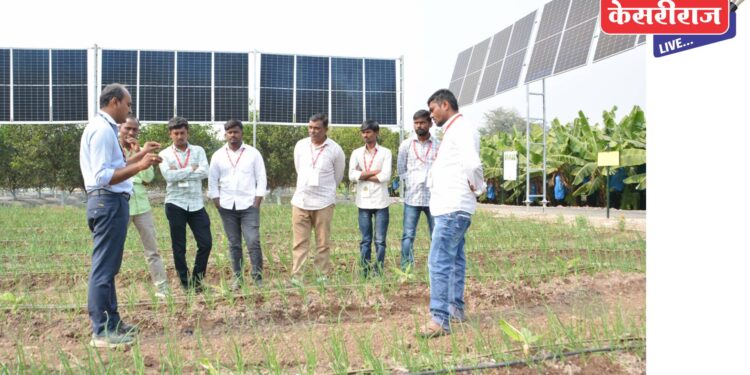 शेतात उभी केलेली पिके, नवनवीन तंत्रज्ञान पाहण्यासाठी कृषी महोत्सवात शेतकऱ्यांनी भेट द्यावी – अजित जैन