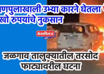 उड्डाणपुलाखाली उभ्या कारने घेतला पेट, लाखो रुपयांचे नुकसान