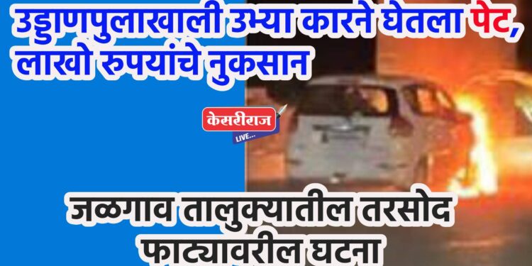 उड्डाणपुलाखाली उभ्या कारने घेतला पेट, लाखो रुपयांचे नुकसान