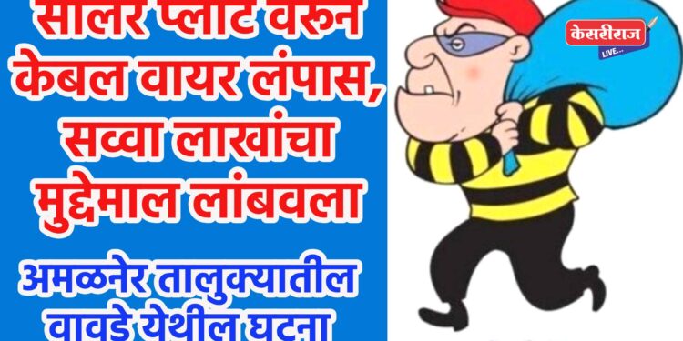 सोलर प्लांट वरून केबल वायर लंपास, सव्वा लाखांचा मुद्देमाल लांबवला