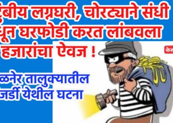 कुटुंबीय लग्नघरी, चोरट्याने संधी साधून घरफोडी करत लांबवला ५५ हजारांचा ऐवज !