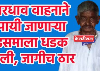 भरधाव वाहनाने पायी जाणाऱ्या इसमाला धडक दिली, जागीच ठार !