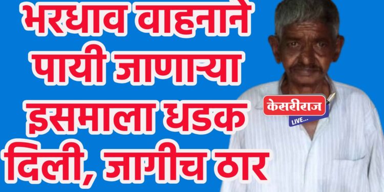 भरधाव वाहनाने पायी जाणाऱ्या इसमाला धडक दिली, जागीच ठार !