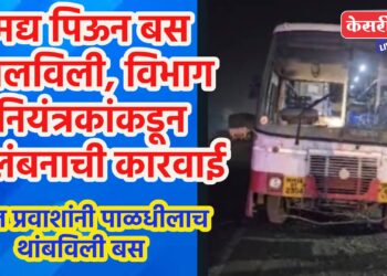 मद्य पिऊन बस चालविली, विभाग नियंत्रकांकडून निलंबनाची कारवाई