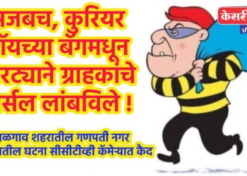 अजबच, कुरियर बॉयच्या बॅगमधून चोरट्याने ग्राहकांचे पार्सल लांबविले !