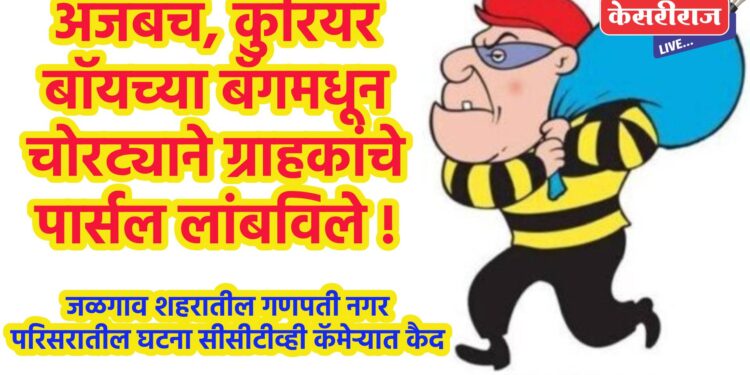 अजबच, कुरियर बॉयच्या बॅगमधून चोरट्याने ग्राहकांचे पार्सल लांबविले !