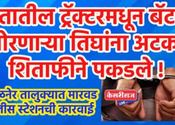शेतातील ट्रॅक्टरमधून बॅटरी चोरणाऱ्या तिघांना अटक, शिताफीने पकडले !