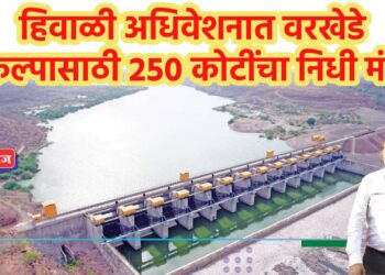 हिवाळी अधिवेशनात वरखेडे प्रकल्पासाठी २५० कोटींचा निधी मंजूर