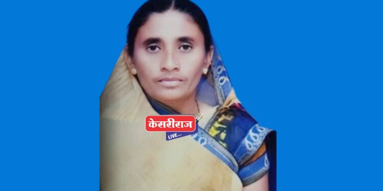 भरधाव ट्रॅक्टरच्या जबर धडकेत जामनेर तालुक्यातील महिला ठार