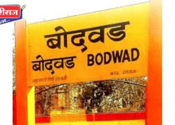 बेकायदेशीर जमीन सरकारजमा करण्याचे तहसीलदारांचे आदेश