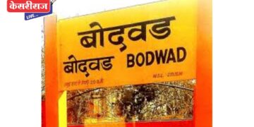 बेकायदेशीर जमीन सरकारजमा करण्याचे तहसीलदारांचे आदेश