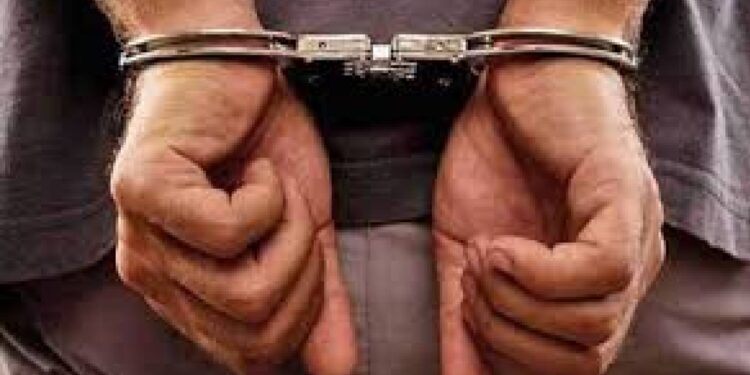 अट्टल चोरट्यास शिताफीने अटक ; अनेक चोऱ्या उघडकीस येण्याची शक्यता