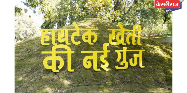 हायटेक शेतीचा नवा हुंकार