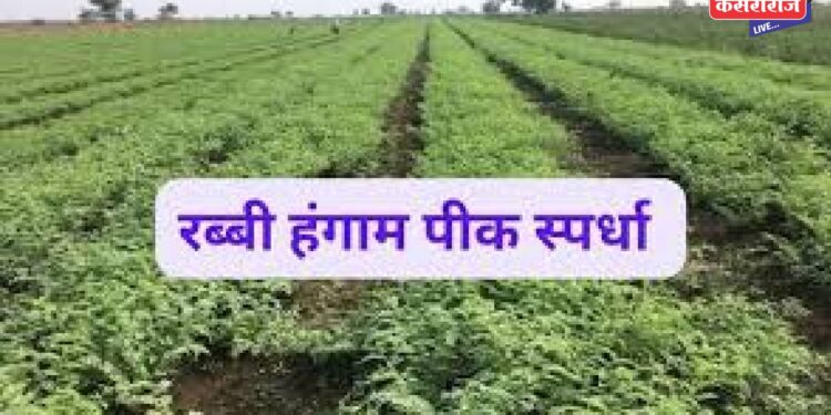 जिल्हयातील शेतक-यांना रब्बी पिक स्पर्धेत सहभागी होण्याचे आवाहन