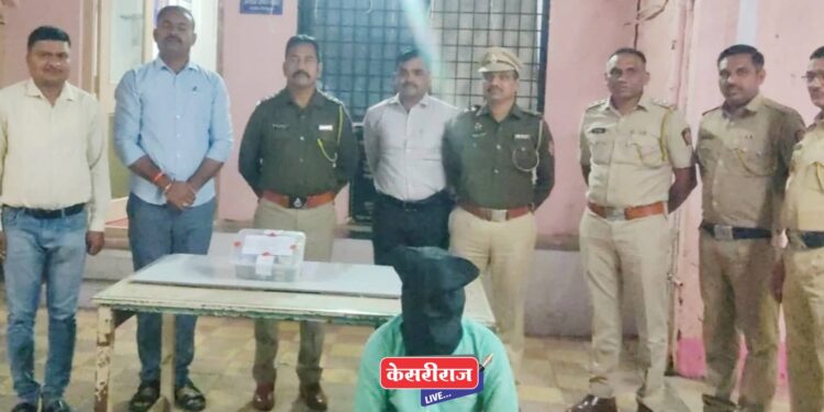 बनावट दस्तावेजाने प्लॉट खरेदी ; फसवणूक करणाऱ्या टोळीचा सूत्रधार अटकेत