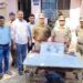 पाचोरा शहरात तरुणाला २ गावठी कट्टे, जिवंत काडतूसांसह पकडले !