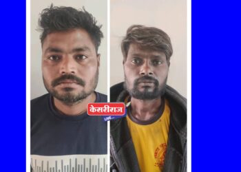 मेहरुणमधून दुचाकी चोरणाऱ्या दोघांना अटक, कोठडी