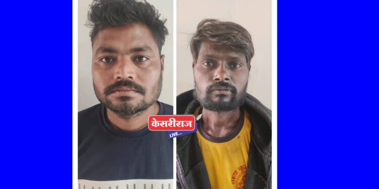 मेहरुणमधून दुचाकी चोरणाऱ्या दोघांना अटक, कोठडी