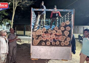 अवैध सागवान तस्करी करणारे वाहन पकडले, सुमारे ४ लाखांचा मुद्देमाल जप्त
