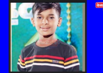 भरधाव वाहनाने धडक दिल्याने गर्भवती निलगायींचा मृत्यू