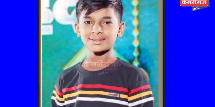 भरधाव वाहनाने धडक दिल्याने गर्भवती निलगायींचा मृत्यू