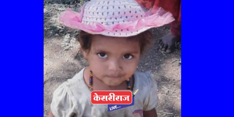 भयानक, बापाच्या बाजूला बसलेल्या चिमुरडीला बिबट्याने पळवून नेत केले ठार !