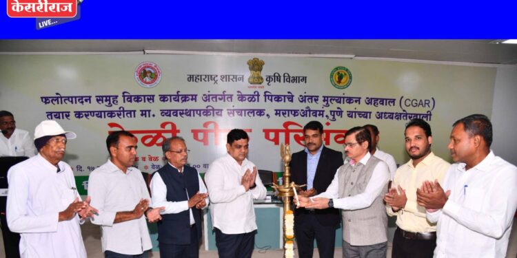 केळी क्लस्टरच्या अंमलबजावणी नियोजनासाठी जैन हिल्स येथे ‘केळी पीक चर्चासत्र’