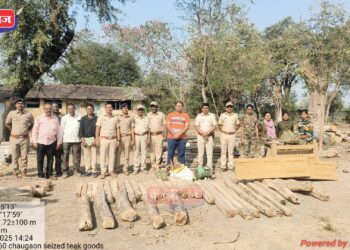 अवैध वृक्षतोड करणाऱ्यांना अडविताच कर्मचाऱ्यावर वाहन चढवून प्राणघातक हल्ला