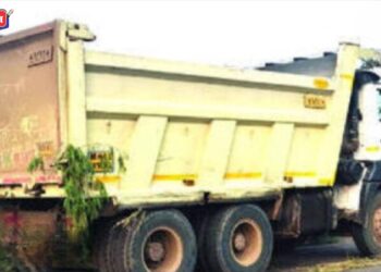 भरधाव डंपरने म्हशींना दिली जबर धडक :  ३ ठार १ जखमी