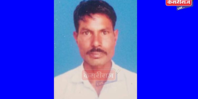 भरधाव वाहनाने धडक दिल्याने गर्भवती निलगायींचा मृत्यू