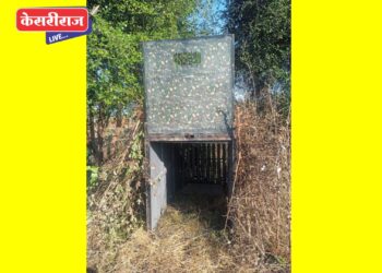 रांजणगावच्या घटनेनंतर हिंसक बिबट्याला जेरबंद करण्यासाठी पथक मागावर  