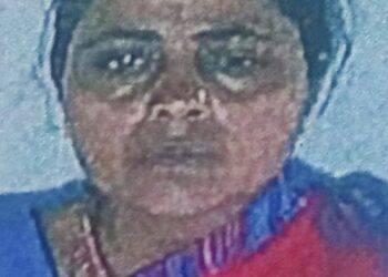 लक्झरी बसच्या धडकेत रिक्षा उलटली : महिलेचा जागीच मृत्यू, २ जखमी