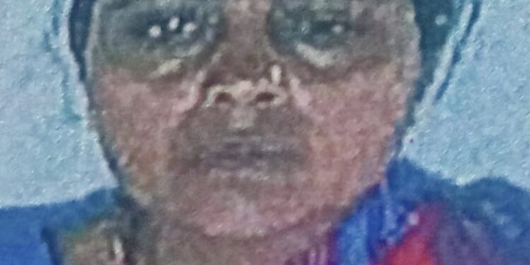 लक्झरी बसच्या धडकेत रिक्षा उलटली : महिलेचा जागीच मृत्यू, २ जखमी