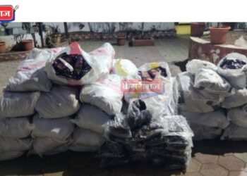 गुटखा तस्करीवर पोलिसांचा छापा, ४ लाखांचा माल जप्त, १ अटकेत