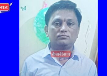 सर्पदंश झाल्याने ५८ वर्षीय शेतकऱ्याचा शेतातच दुर्दैवी मृत्यू