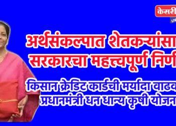 अर्थसंकल्पात शेतकऱ्यांसाठी सरकारचा महत्त्वपूर्ण निर्णय